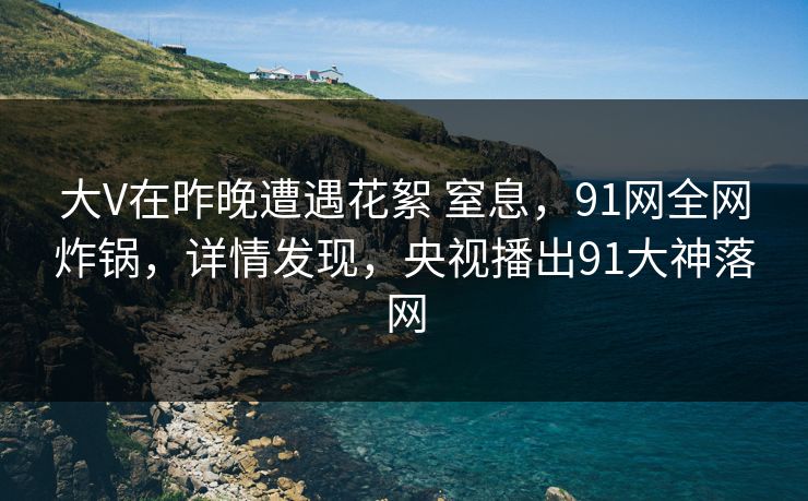 大V在昨晚遭遇花絮 窒息，91网全网炸锅，详情发现，央视播出91大神落网